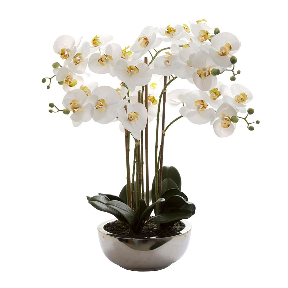 Phalaenopsis Orchid Real Touch in Silver Pot - White